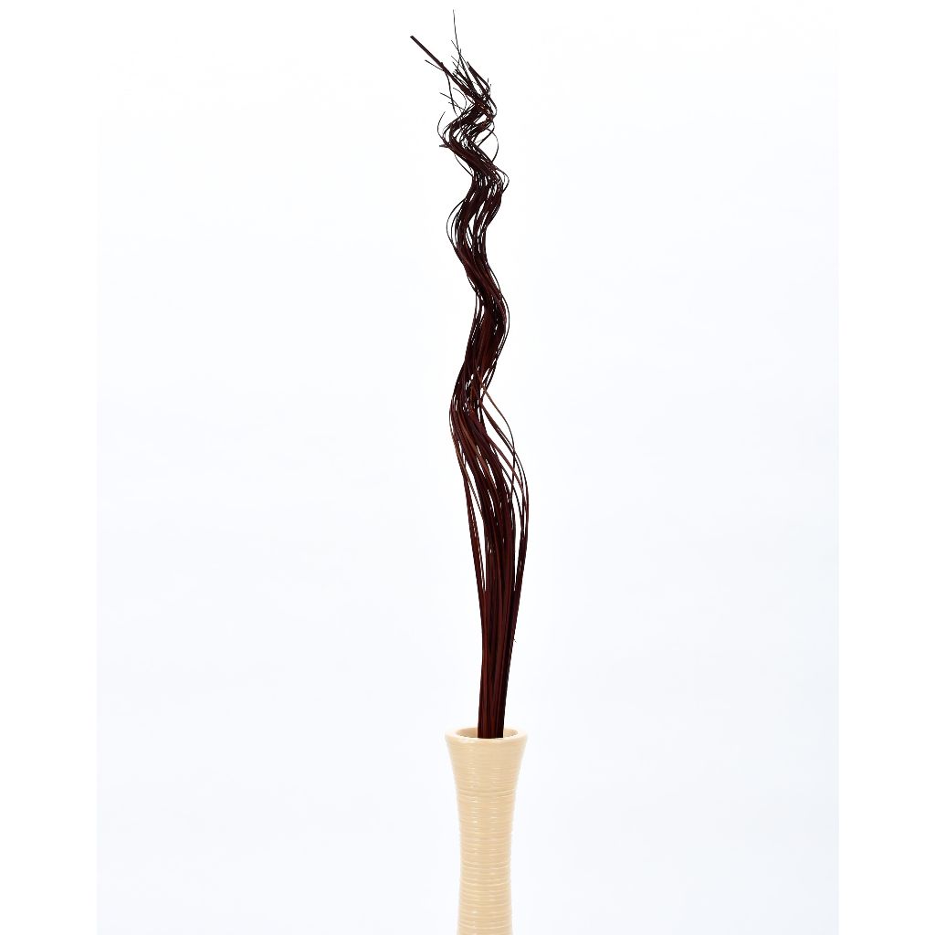 Vasora Wavy Dried Branches กิ่งไม้แห้งสำหรับตกแต่ง ขนาด 100 cm ...