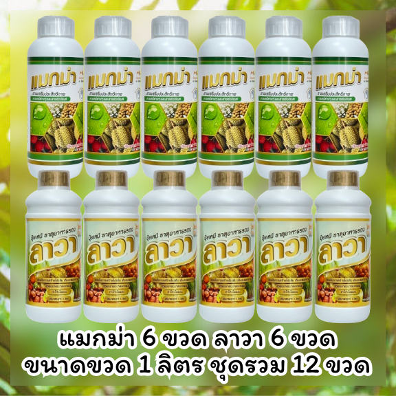 แมกม่าลาวา แมกม่า 6 ขวด + ลาวา 6 ขวด ชุดรวม ฟรีเสื้อ 1 ตัว | Shopee ...