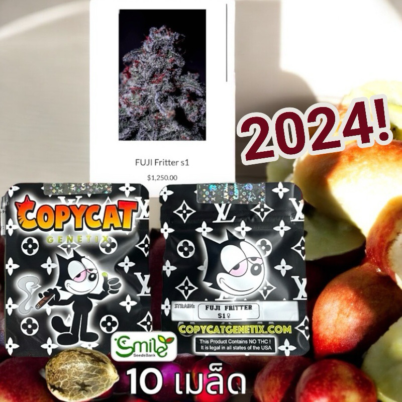 เมล็ดกัญชา Fuji Fritter S1(Fem) - Copycat Genetix | Shopee Thailand