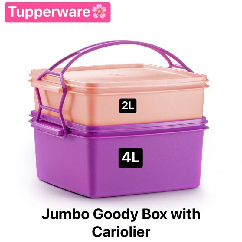 ปิ่นโต2ชั้น Tupperware รุ่น jumbo goody box/snack set with cariolier ...