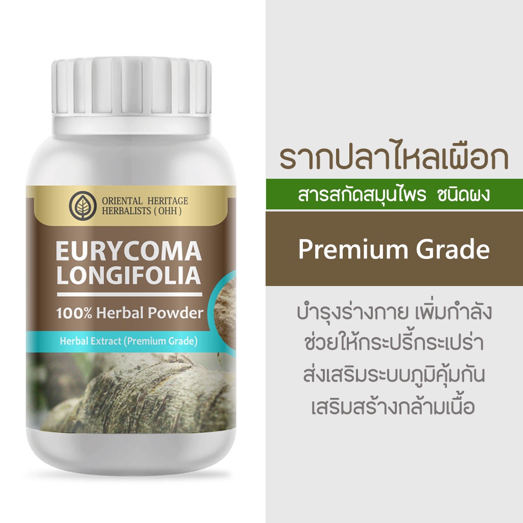 รากปลาไหลเผือก Eurycoma Longifolia Herb Powder Extract 100% ชนิดผง ขนาด ...