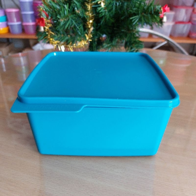 Tupperware กล่องเบสิค จัมโบ้ ความจุ 5ลิตร เก็บอาหาร/ผัก/ผลไม้ ฝาปิดแน่น ...