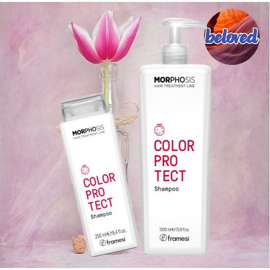 Framesi Morphosis Color Protect Shampoo 250/1000 ml แชมพูรักษาสีผม ...