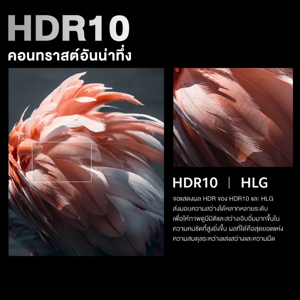Expose ทีวี 32 TV Digital TV สมาร์ททีวี FHD สนับสนุน HDMI/VGA รับประกัน 3 ปี