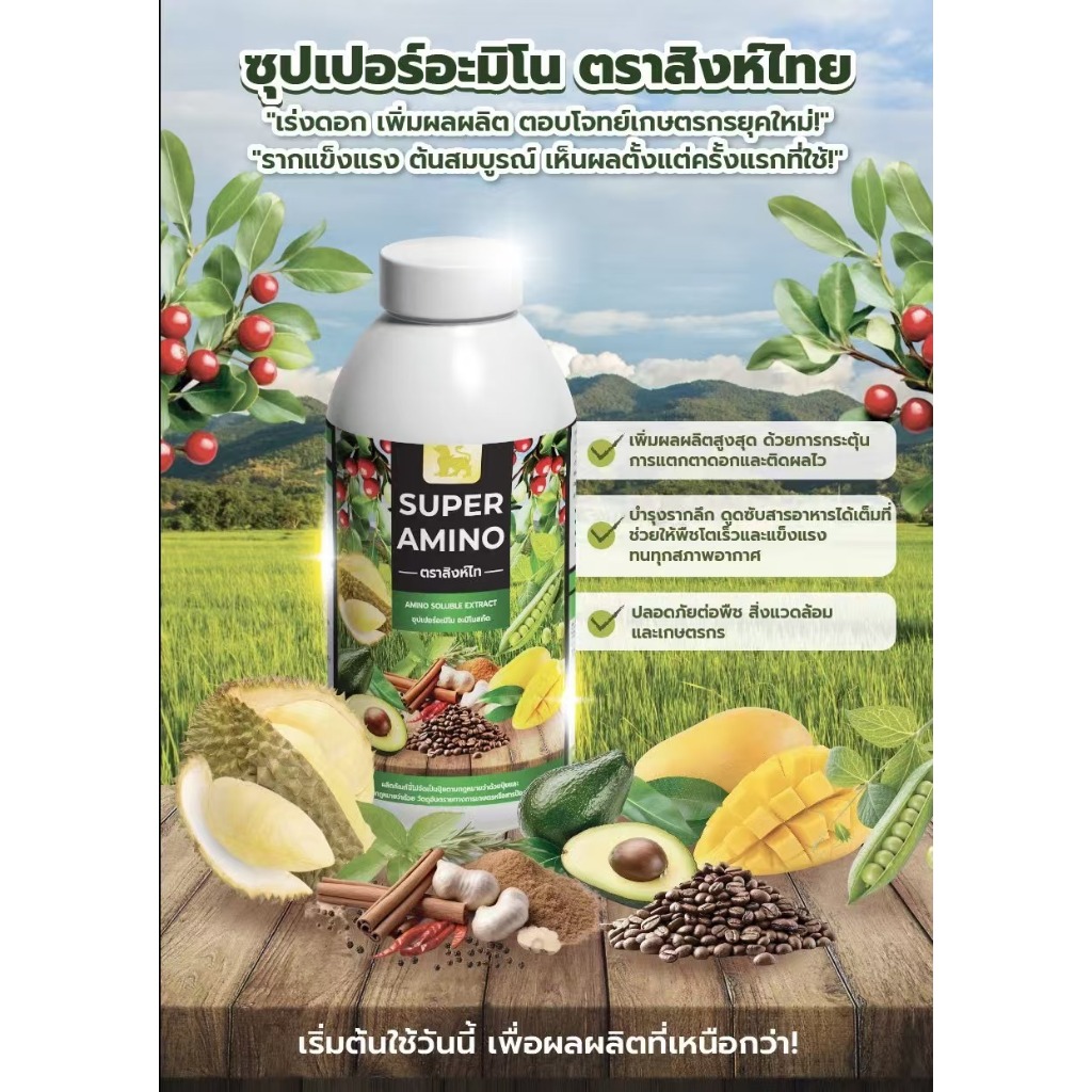 ซุปเปอร์อะมิโน ตราสิงห์ไท ปุ๋ยสำหรับพืชเศรษฐกิจ ปุ๋ยอินทรีย์ ปุ๋ยน้ำ เพิ่มผลผลิต พืชโตไว ดอกผลดก ใบเขียวสด