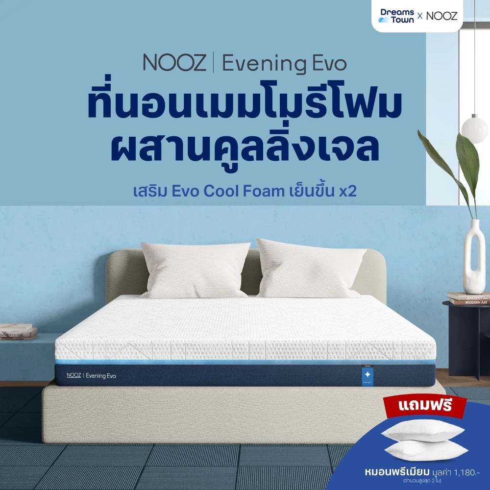 NOOZ ที่นอนเมมโมรี่โฟม ผสมคูลลิ่งเจลกระจายแรงกดทับ ระบายอากาศได้ดี Memory Foam รุ่น Evening Evo ขนาด 3.5ฟุต 5ฟุต 6ฟุต