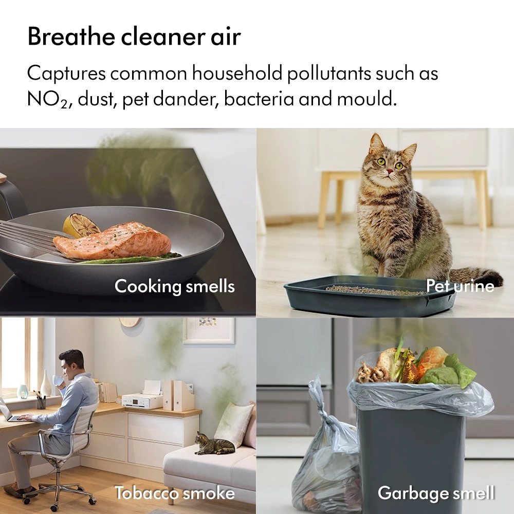 Dyson รุ่น Purifier Cool PC2 De-NOx เครื่องฟอกอากาศและพัดลมไร้ใบพัด สี Nickel/Gold เทคโนโลยีกรองก๊าซ NO₂ และทำลายสารฟอร์มาลดีไฮด์
