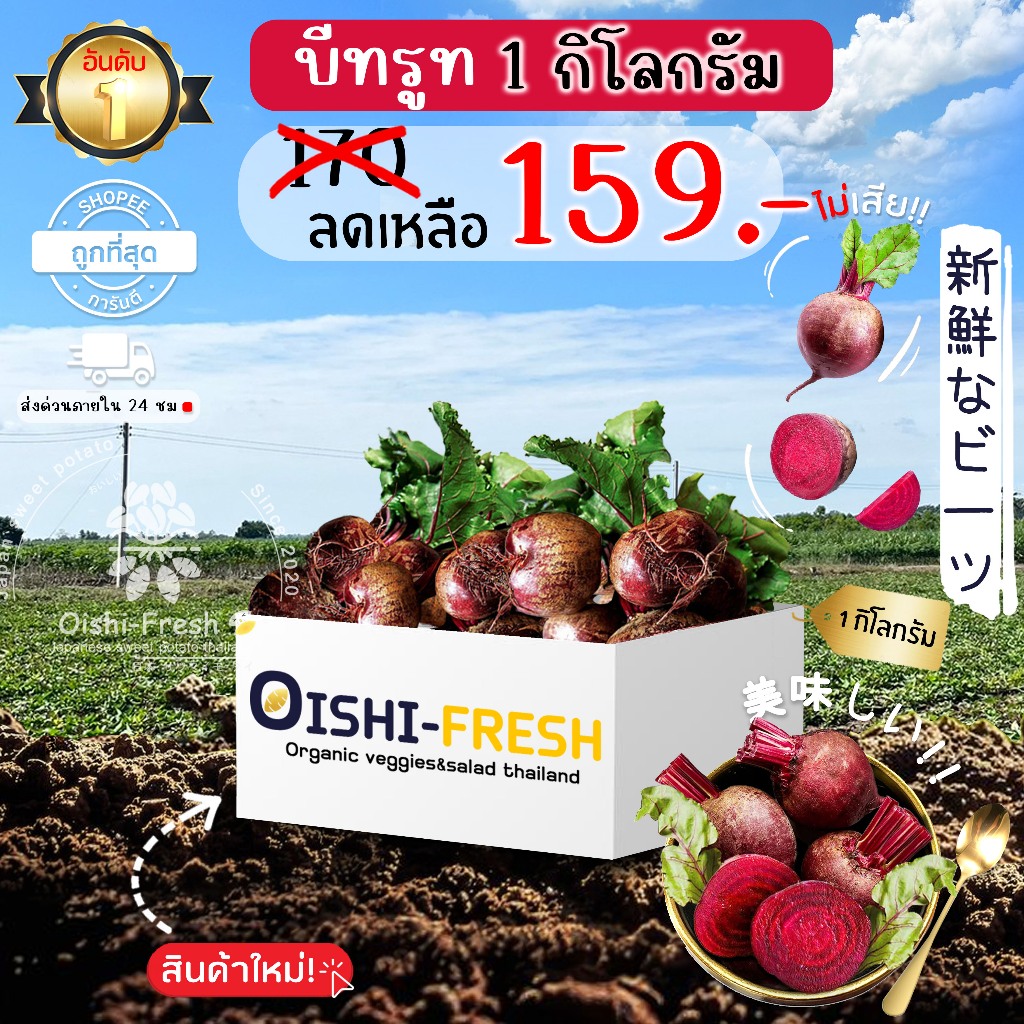 🛒Oishi-Fresh🥬บีทรูท ปลอดสารพิษ 1 กก. รสชาติกรอบ สด ใหม่ ใยอาหารสูง หวาน ...