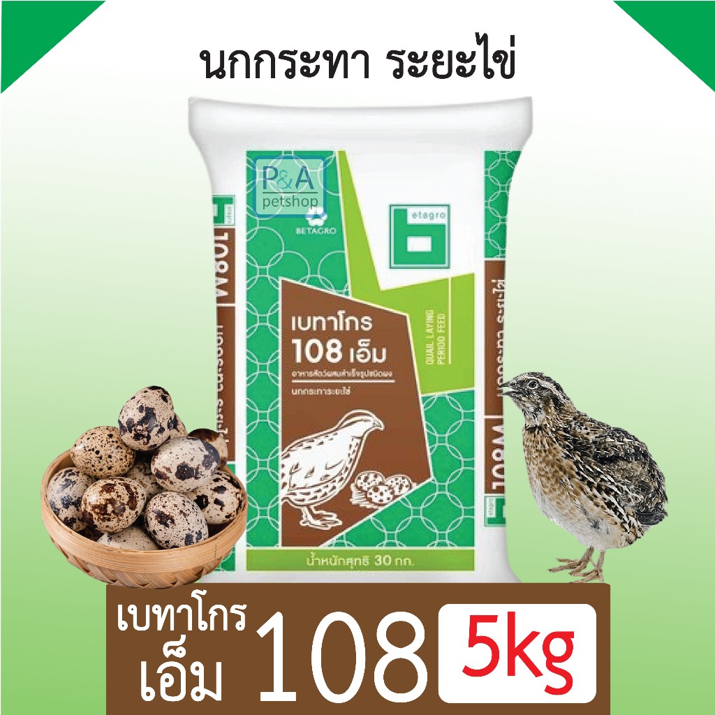 th 11134207 7rasc