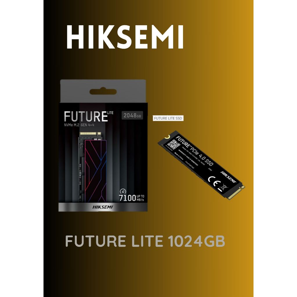 HIKSEMI SSD M.2 HS-SSD-FUTURE LITE 1024G ,HS-SSD-FUTURE Lite 2048G