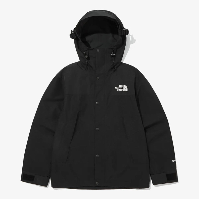 THE NORTH FACE ノースフェイス マウンテンパーカー GORE-TEX