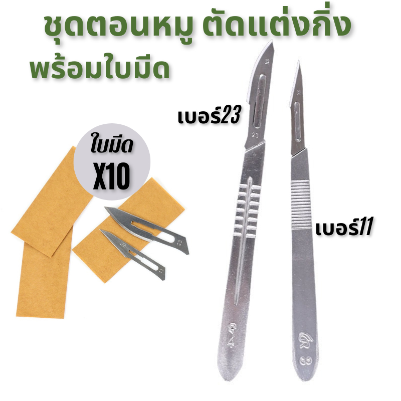 ชุดมีดผ่าตัด ตอนหมู(สแตนเลส) ด้ามจับแบบหนา+ใบมีด10ใบ | Shopee Thailand