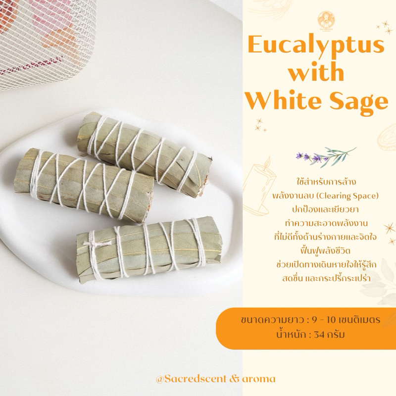 White Sage+Eucalyptus ชุดมัดรวม ไวท์เสจและใบยูคาลิปตัส มัดเล็ก ขนาด 9 ...