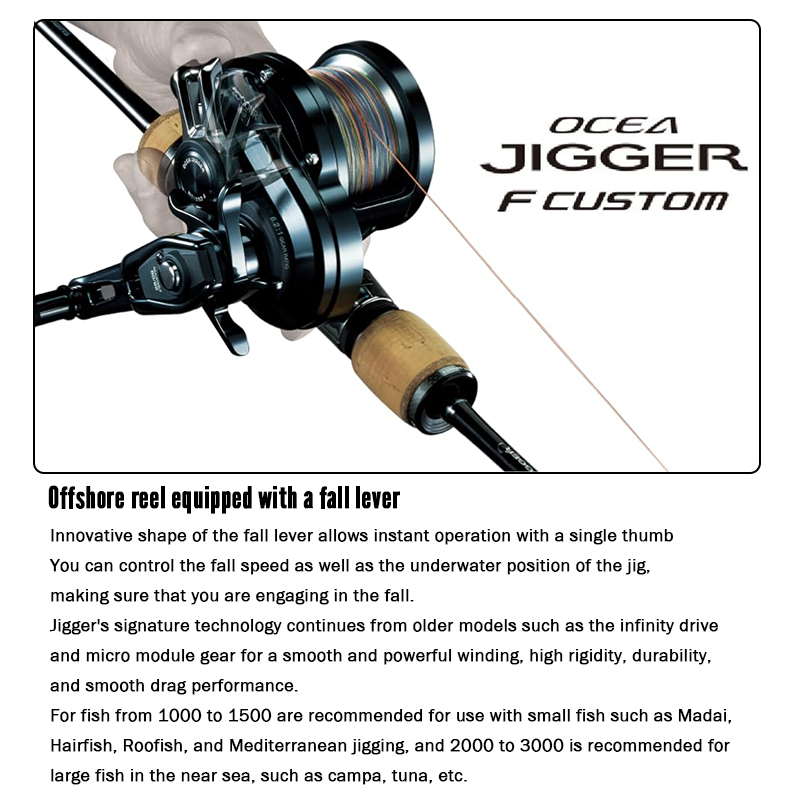 Shimano Ocea Jigger F Custom 2000NRHG 2001NRHG Jigging Baitcasting