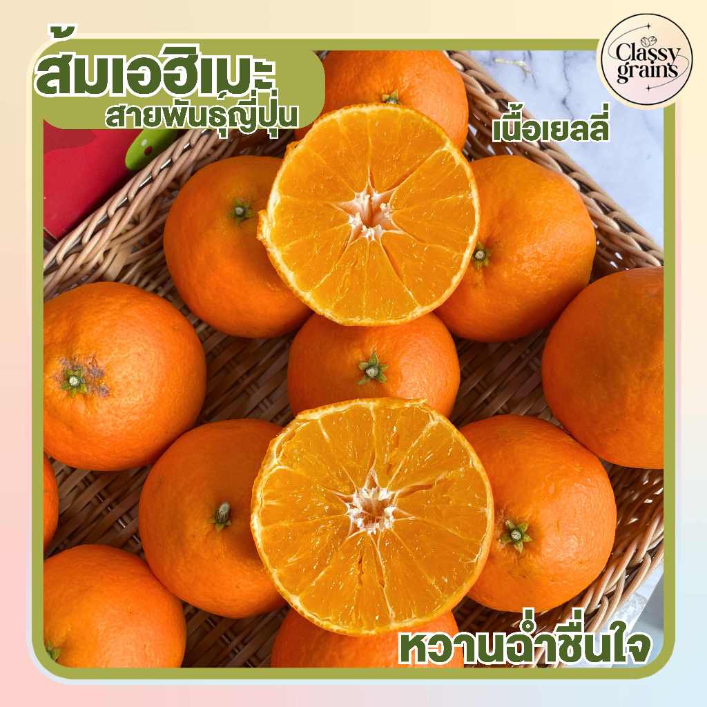 ส้มเอฮิเมะ สายพันธุ์ญี่ปุ่น (1KG) พร้อมส่ง‼️ ส้มเอฮิเมะสด ไร้เมล็ด ...
