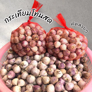 กระเทียมโทนสด คัดสวย ศรีสะเกษ photo