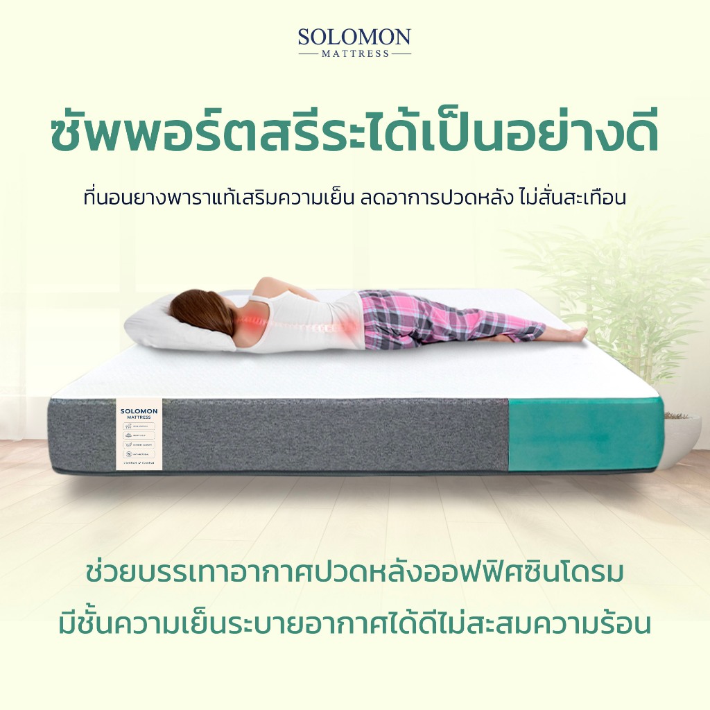 SOLOMON รุ่น CLOVER ที่นอนยางพารานุ่ม หนา 8 นิ้ว เสริมเจลเย็นช่วยลดอาการปวดหลัง