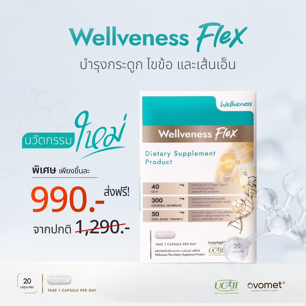 เวลเฟล็กซ์ Well Flex บำรุงกระดูก เส้นเอ็น และไขข้อ | Shopee Thailand