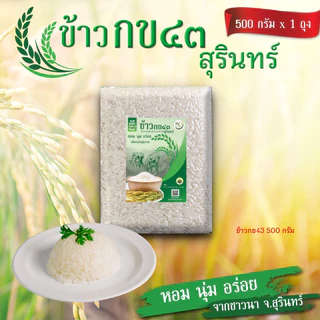 ข้าวหอมมะลิสุรินทร์แท้ 100% | ขนาด 500กรัม | หอม นุ่ม | ปลอดสารเคมี | ข้าวใหม่ฤดูกาลล่าสุด | photo