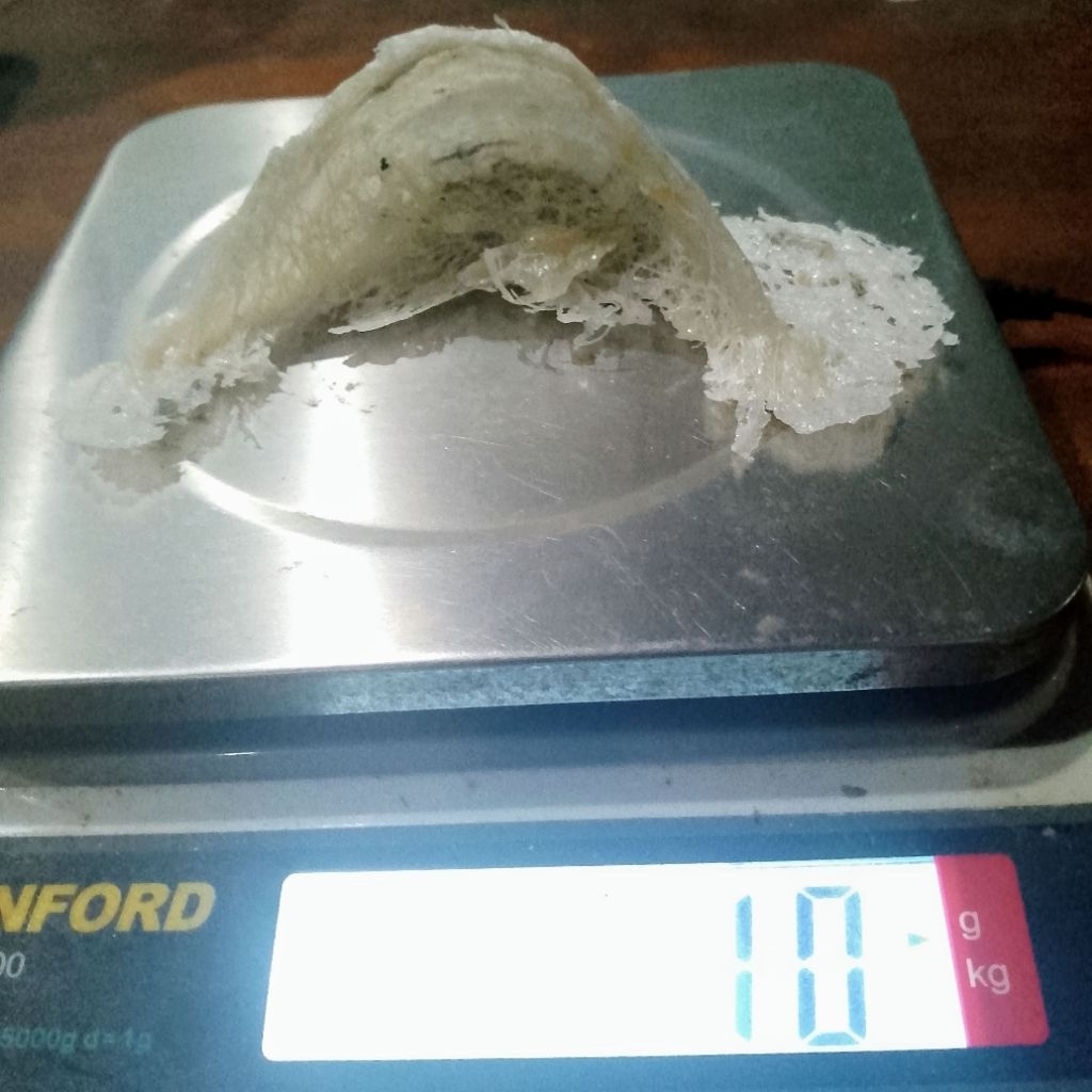 \u0e27\u0e31\u0e15\u0e16\u0e38\u0e14\u0e34\u0e1a,\u0e23\u0e31\u0e07\u0e19\u0e01\u0e14\u0e34\u0e1a,\u0e23\u0e31\u0e07\u0e19\u0e01\u0e22\u0e31\u0e07\u0e44\u0e21\u0e48\u0e44\u0e14\u0e49\u0e17\u0e33\u0e04\u0e27\u0e32\u0e21\u0e2a\u0e30\u0e2d\u0e32\u0e14 | Shopee Thailand