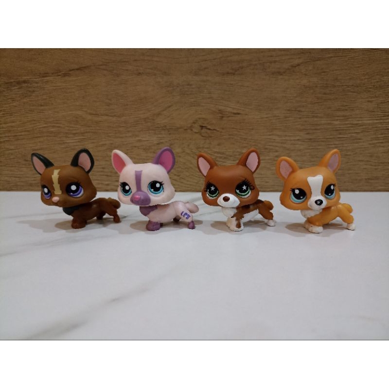 ตัวเล่น lps ของแท้ #littlest pet shop#lps | Shopee Thailand