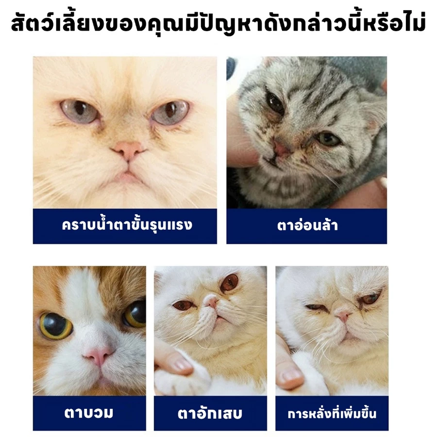 yoyopet ผ้าเช็ดตา