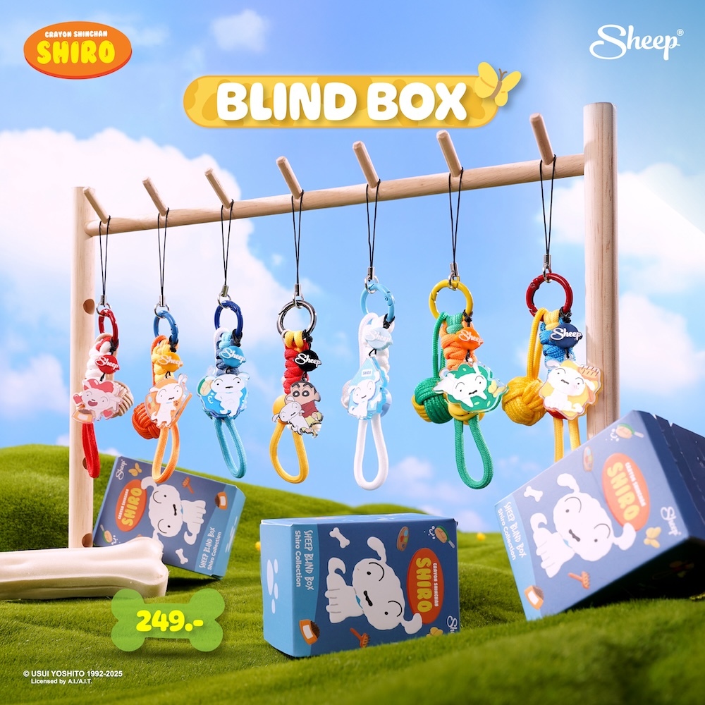 [กล่องสุ่ม charm shiro ] Sheep Blind Box Phone Charm Shiro Collection ...