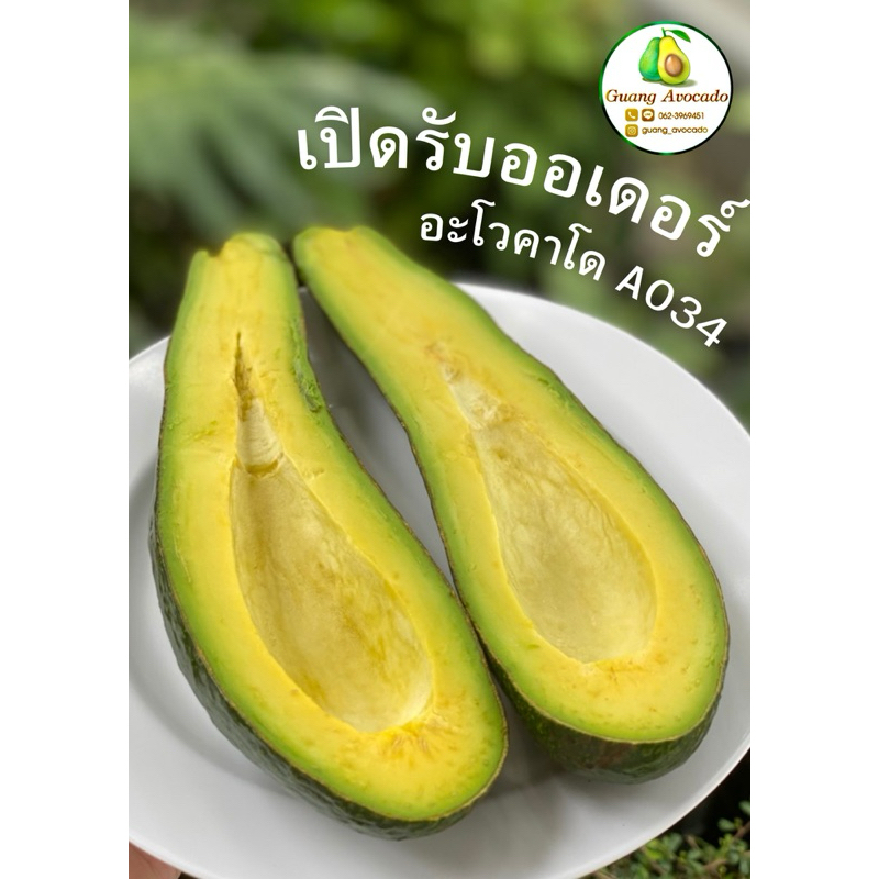 อะโวคาโด ( 1 โล ) พันธุ์พื้นเมือง พันธุ์ A034 คัดเกรดA ลูกใหญ่ สวย ขนาด ...