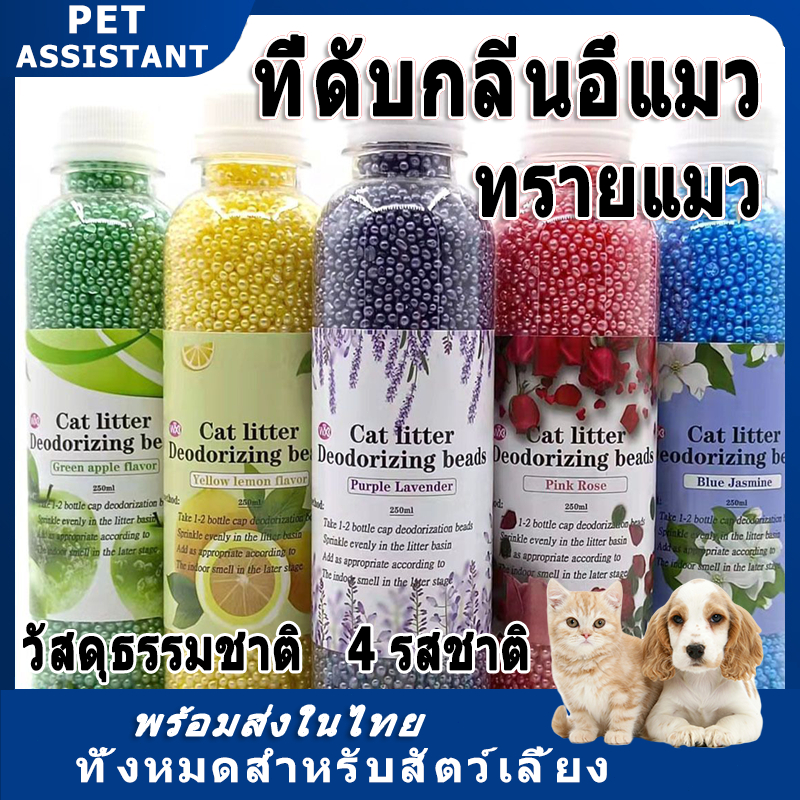 PET Assistant 🐱 เม็ดคาร์บอนดับกลิ่น ที่ดับกลิ่น เม็ดดับกลิ่น ดับกลิ่น ...