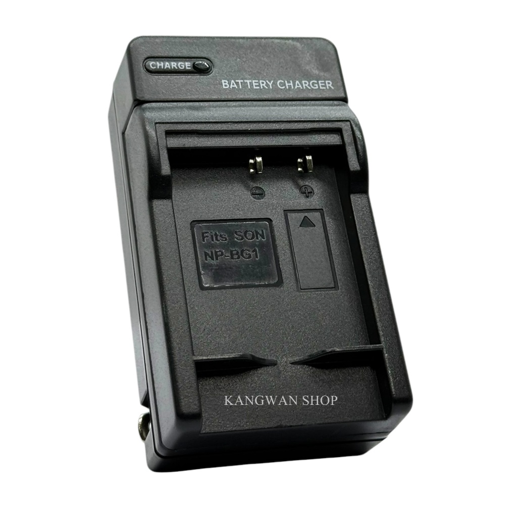 DSTE NP-BG1 2-Pack Battery And Micro USB Dual Charger Compatible With NP-BG1 And Sony DSC-H70 DSC-H90 DSC-HX20V DSC-HX30V DSC-N1 DSC-N2 DSC-T20 DSC-T100 DSC-W30 DSC-W35 As NP-FG1