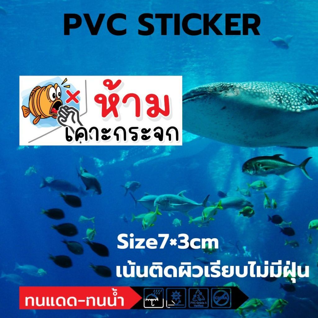 (669)Sticker สติ๊กเกอร์ ห้ามเคาะกระจก ตู้ปลา Aquarium ร้านขายสัตว์ ...