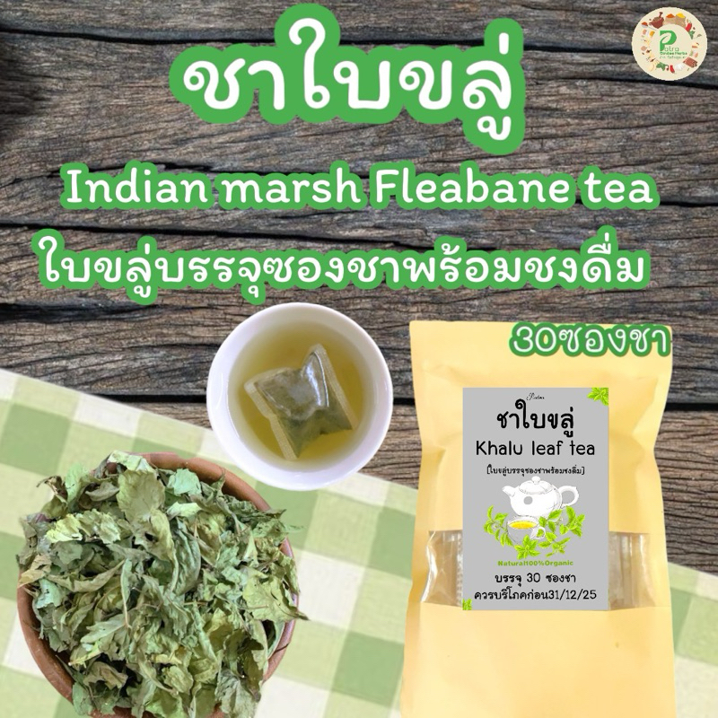 ชาใบขลู่ บรรจุ 30 ซอง Indian marsh fleabane Tea | Shopee Thailand