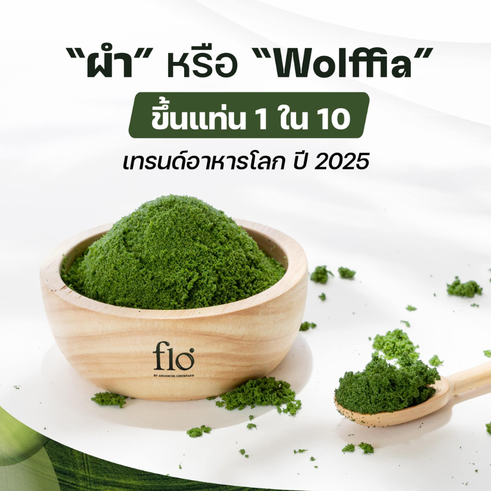 flo wolffia powder ผงผำแท้ 100% | Shopee Thailand