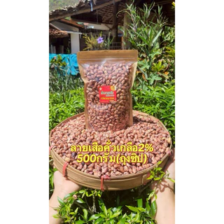 Giถั่วลายเสือแม่ฮ่องสอน สูตรคั่วเกลือ2% กรอบร่วน หอมหวาน ต้นตำรับจากแม่ฮ่องสอน photo
