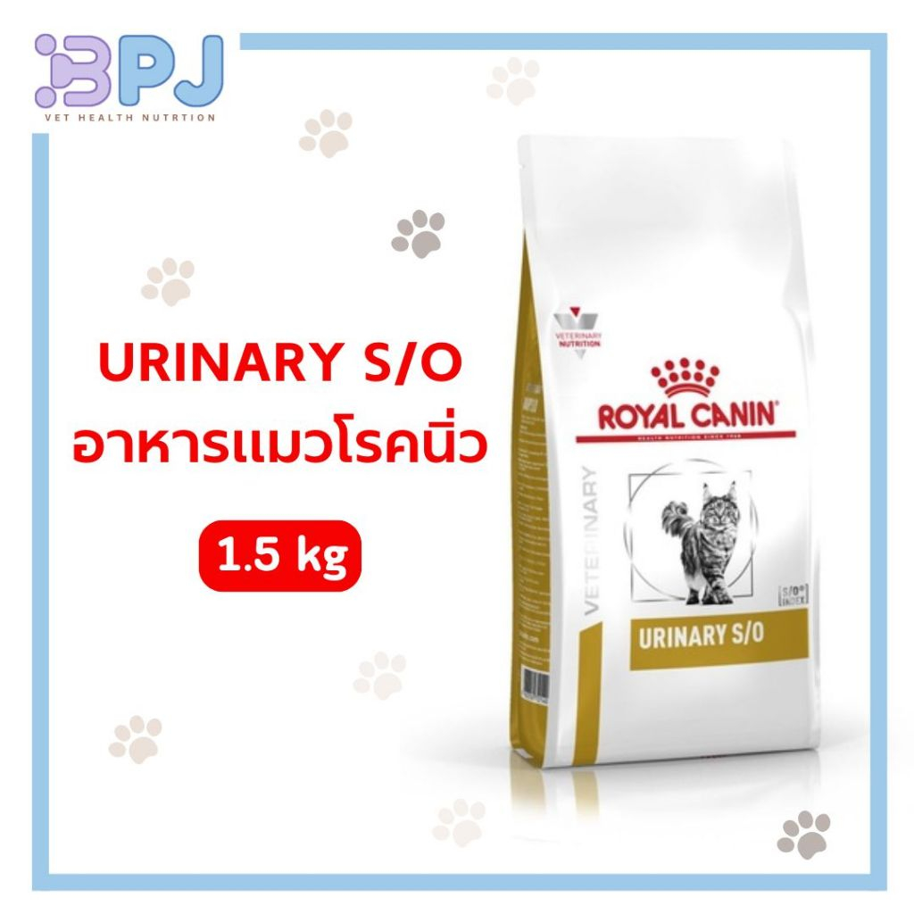 Royal Canin Urinary S/O hond 1 x 13 kg