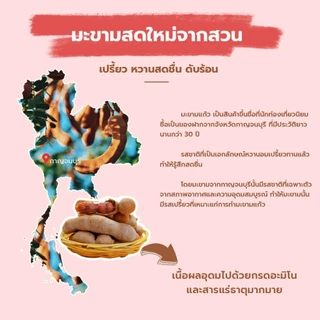 SNAXFARM x มะขามกวนแก้ว รสน้ำผึ้ง ขนาด 80 กรัม  ( ของฝาก กาญจนบุรี ขนมไทย ขนมกินเล่น ) photo