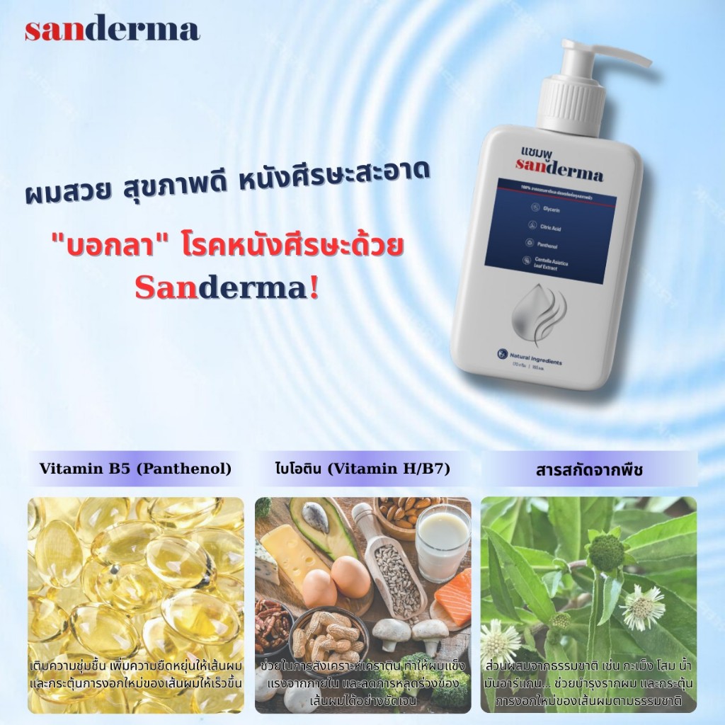 SANDERMA แชมพูรักษา ‘เชื้อรา โรคสะเก็ดเงิน ลดอาการคัน ขจัดรังแค ปัญหา ...