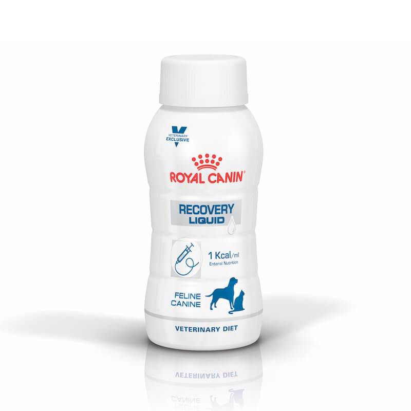 royal-canin-recovery-liquid-dog-cat