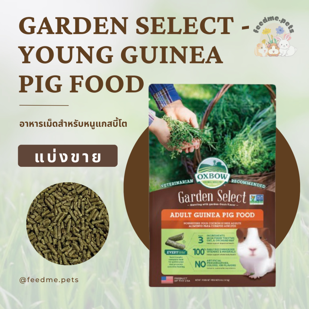 Oxbow Garden Select – Adult Guinea Pig Food อาหารหนูแกสบี้โต สูตร ...