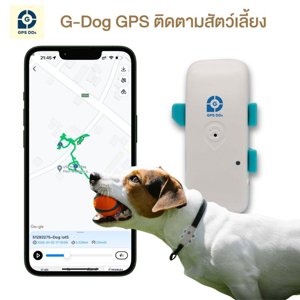 G-Dog GPS ติดตามน้องหมา โดยยึดกับปลอกคอ ช่วยติดตามสุนัขได้ ป้องกันการ ...