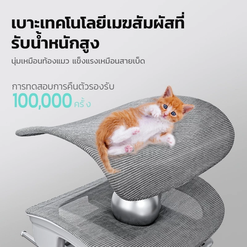 Xpanse รุ่น W202 เก้าอี้สุขภาพ Ergonomic Chair รองรับสรีระและเอวเพื่อการปรับท่าทางให้ถูกต้อง นั่งสบายตลอดวัน