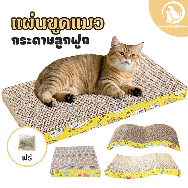 กระดานลับเล็บแมว กระดานลูกฟูก ทนการสึกหรอ