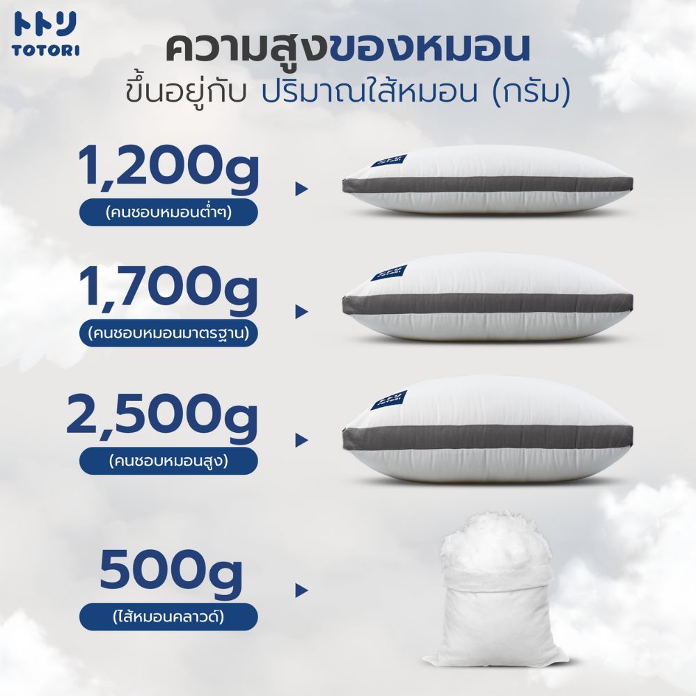 หมอนโทโทริ รุ่น คลาวด์(Cloud model) TOTORI - 3