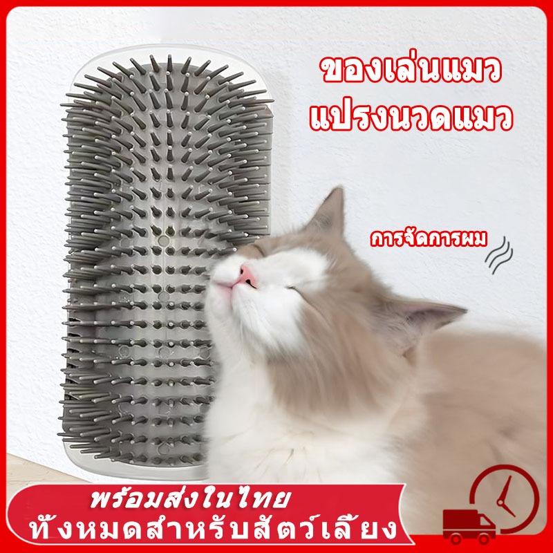 หวีแปรงนวดแมวติดมุม พร้อมแคทนิป