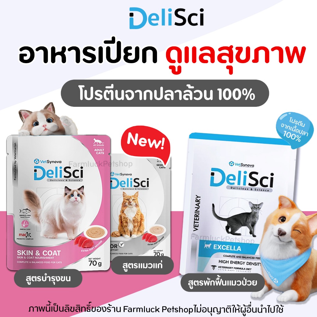 (1ซอง) DeliSci Excella | Skin&Coat | Senior อาหารเปียก บำรุงสุขภาพ ...
