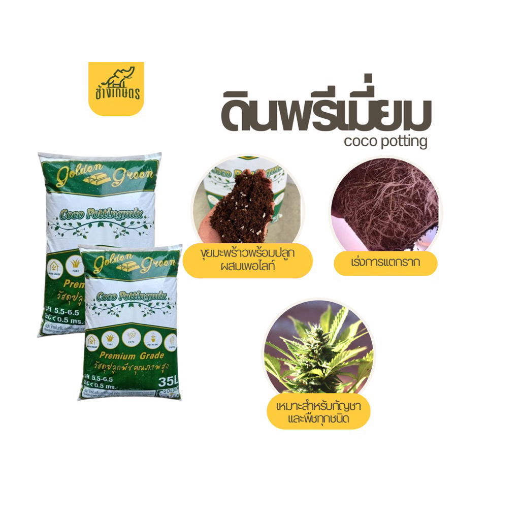 Coco Potting Mix 35L ขุยมะพร้าวเกรดพรีเมี่ยม ผสมเพอไลท์ ปลอดภัย ไร้ ...