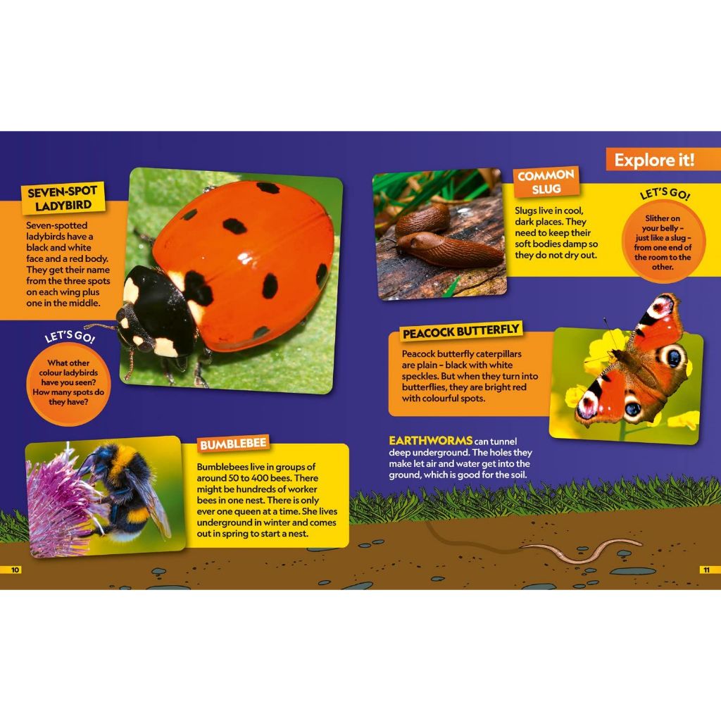 National Geographic Kids Insects Find it! Explore it! หนังสือเด็ก แมลง ...