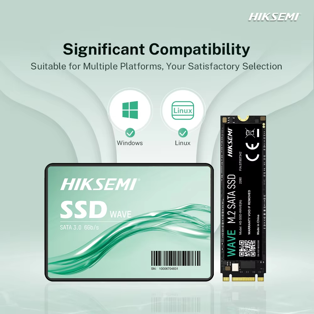 SSD HIKSEMI WAVE[S] 128GB SATA III 6GB/S : HS-SSD-WAVE[S] 128G | Shopee  Thailand