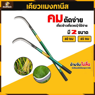 💥จัดส่งที่รวดเร็ว💥เคียว ขนาด 40/60 ซม เคียวเหล็กแมงกานีส เคียวเกี่ยวหญ้า เคียวเกี่ยวข้าว มีดถางหญ้า คียวตัดกิ่งไม้