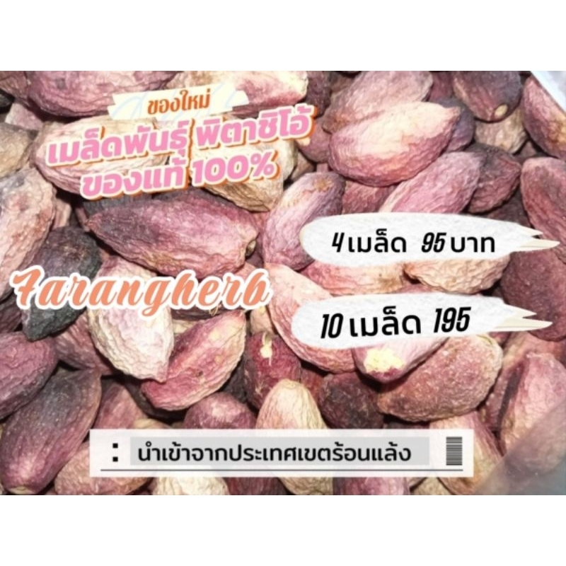 เมล็ดพันธุ์สำหรับเพาะ‼️  พิสตาชีโอ ( p i s t a c h i o ) ส า ย พั น ธุ์ G a z i a n t e p 10เมล็ด 195 บาท🚒🚒ระวังของปลอม